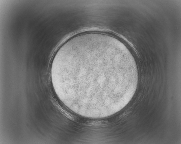 X0000081561367200702121345