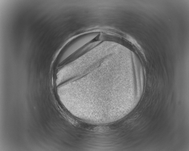 X0000081561368200702121345