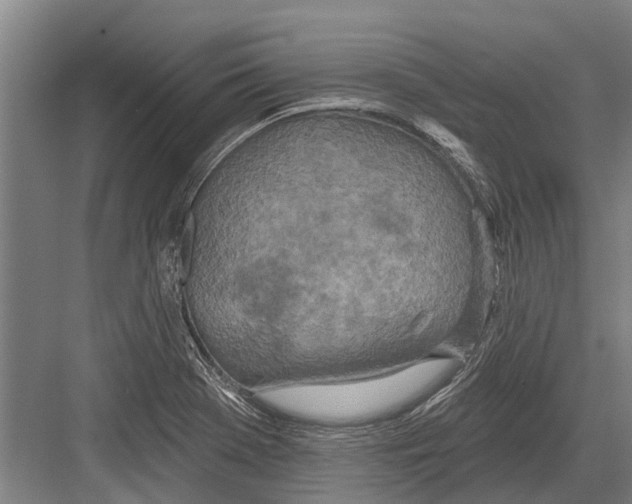 X0000081561369200702121345