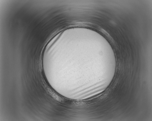 X0000081561370200702121344