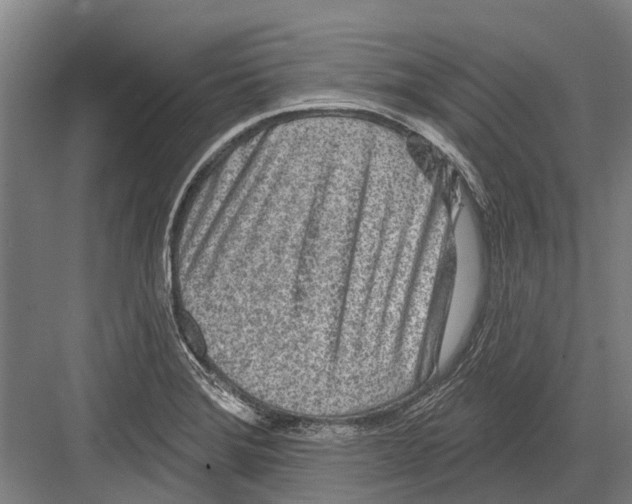 X0000081561372200702121344