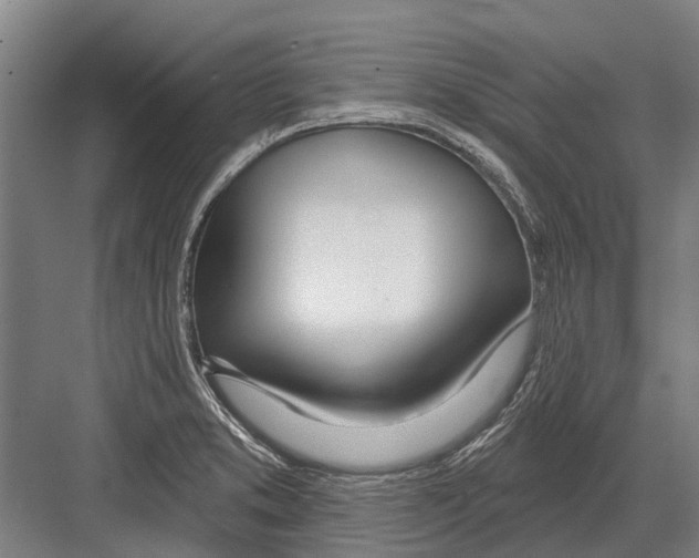 X0000081561373200702121344