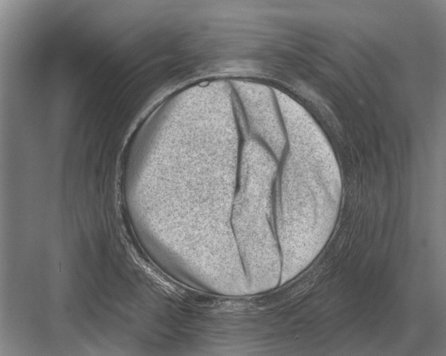 X0000081561374200702121344