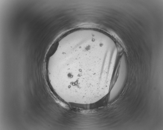 X0000081561376200702121344