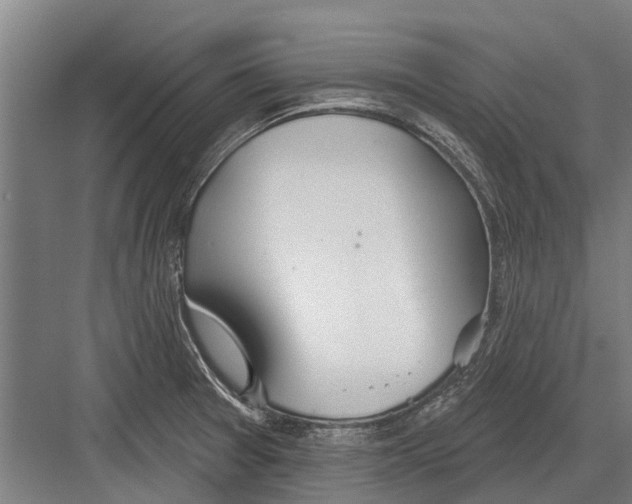 X0000081561377200702121344