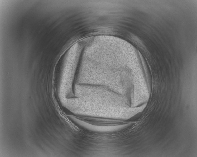 X0000081561378200702121344