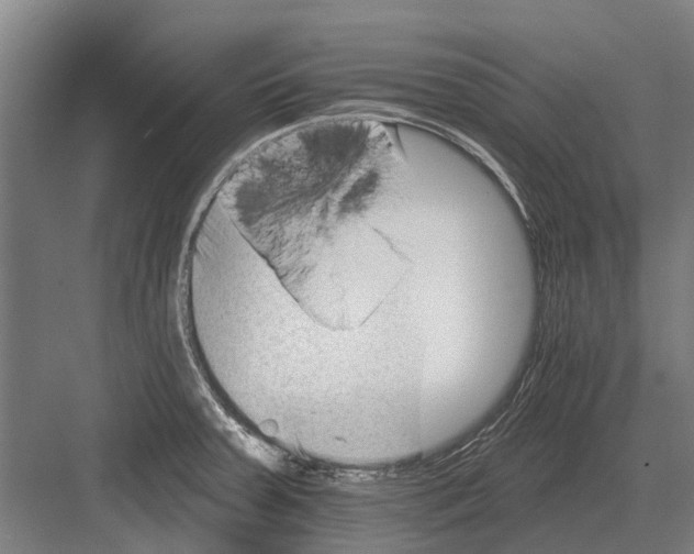 X0000081561379200702121344