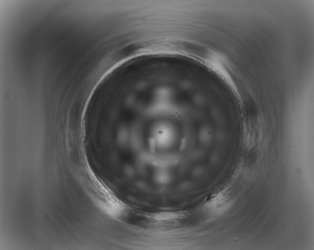 X0000081561380200702121344