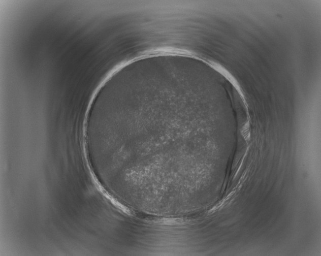 X0000081561381200702121344