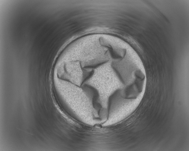 X0000081561382200702121344