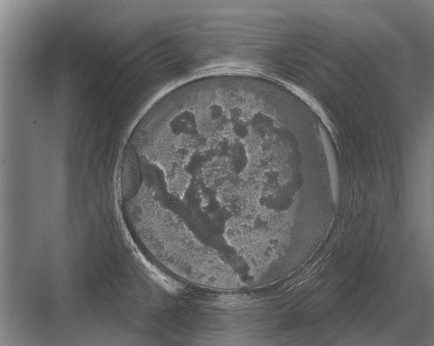 X0000081561383200702121344