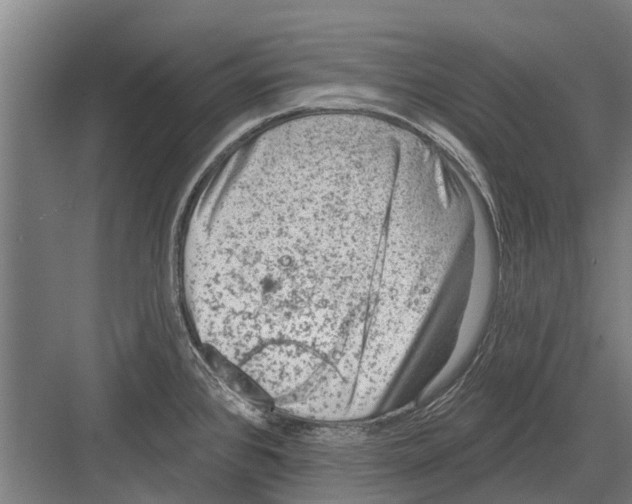 X0000081561384200702121344