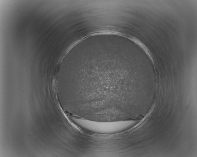 X0000081561385200702121344