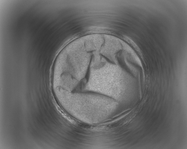 X0000081561386200702121344