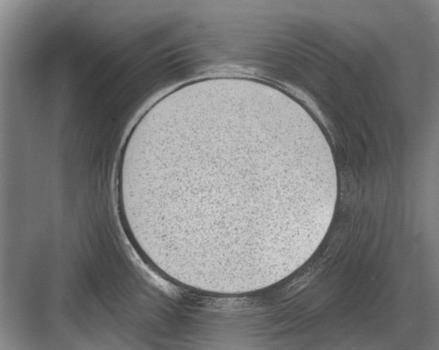 X0000081561387200702121344