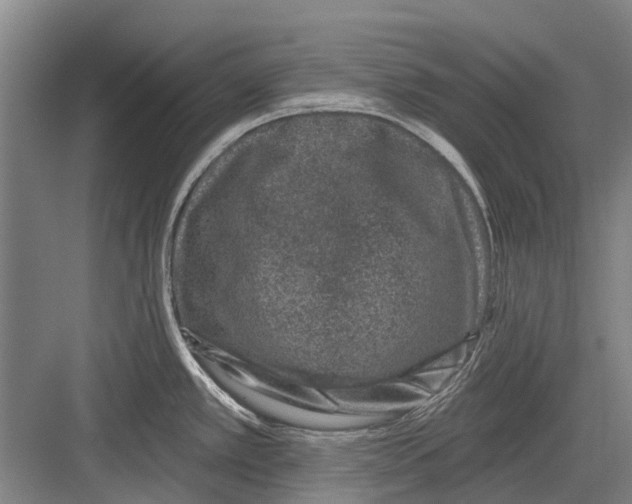 X0000081561389200702121344