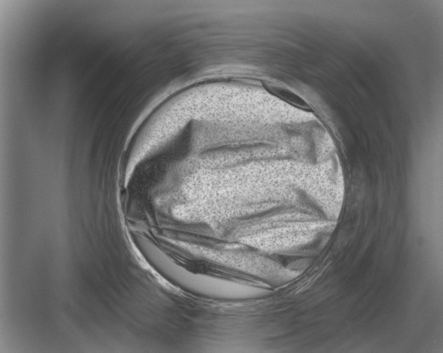 X0000081561390200702121344