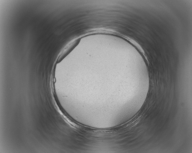 X0000081561391200702121344