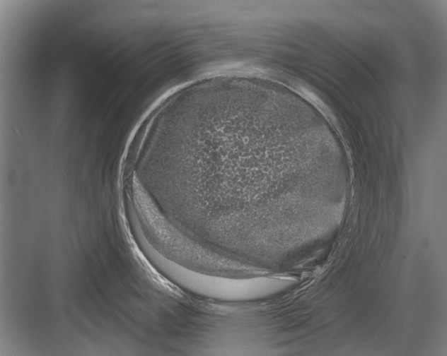 X0000081561392200702121344