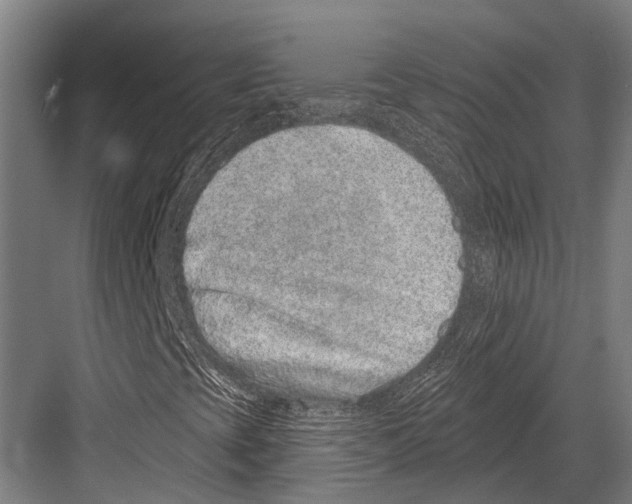 X0000081561393200702121343