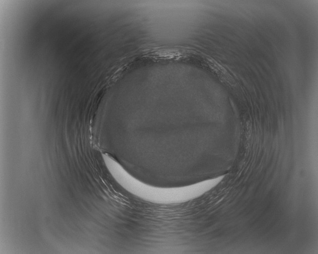 X0000081561394200702121343