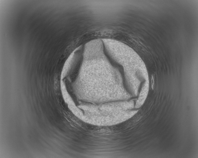 X0000081561395200702121343