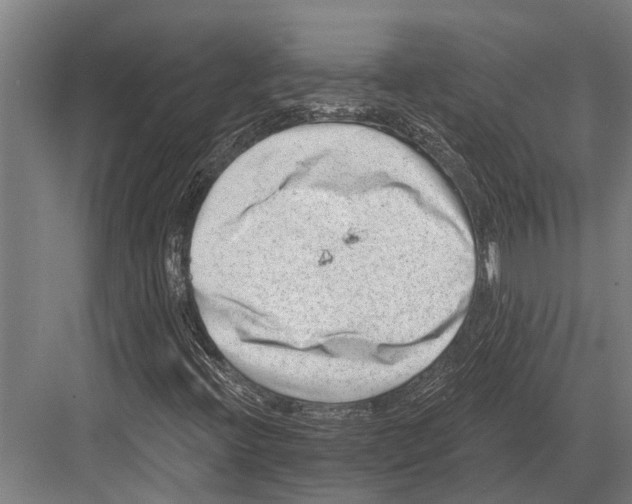 X0000081561396200702121343