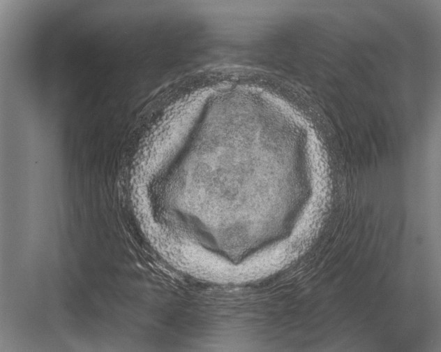 X0000081561397200702121343