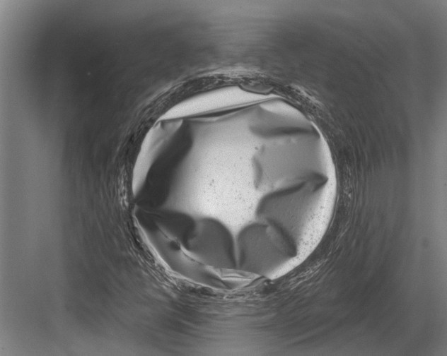 X0000081561398200702121343