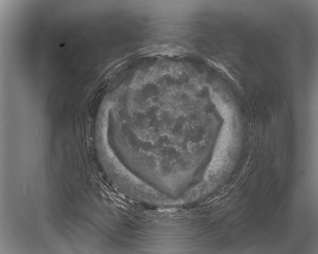 X0000081561399200702121343