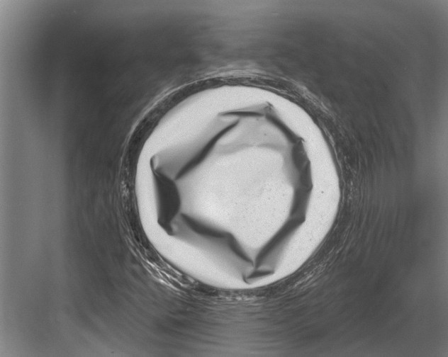 X0000081561400200702121343