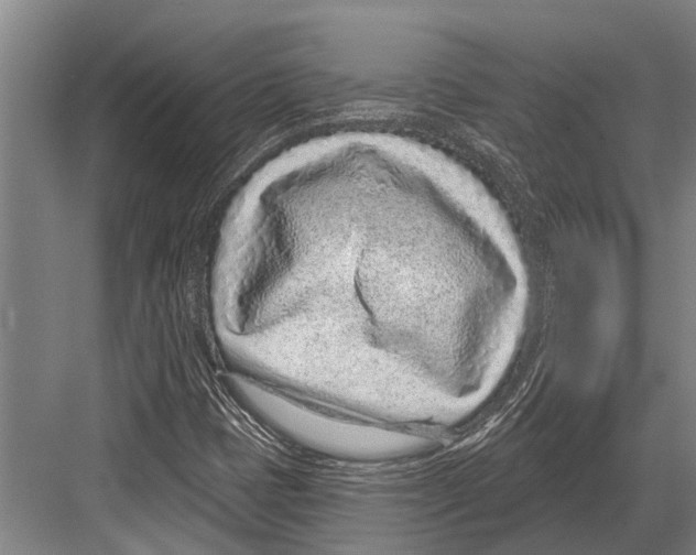 X0000081561401200702121343