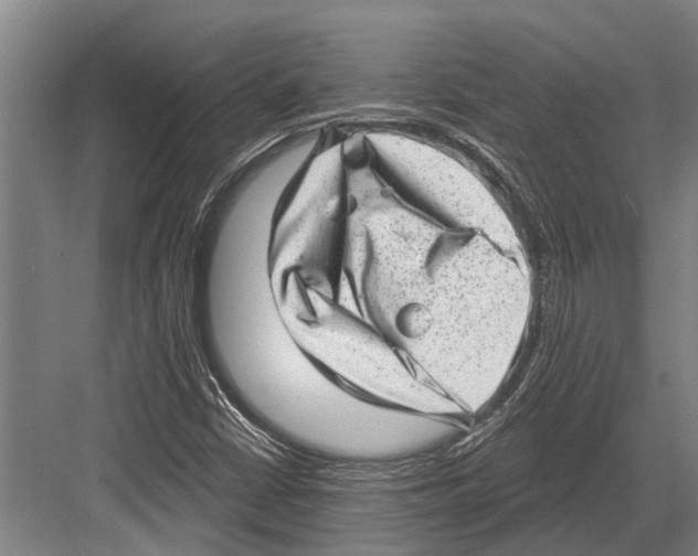 X0000081561402200702121343