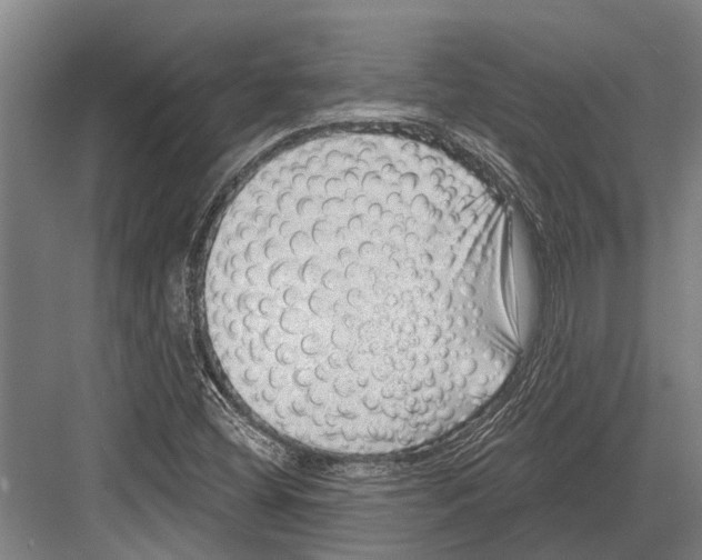 X0000081561404200702121344