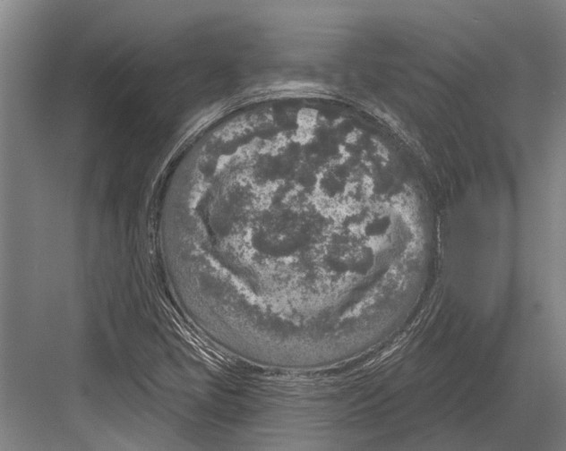 X0000081561405200702121344