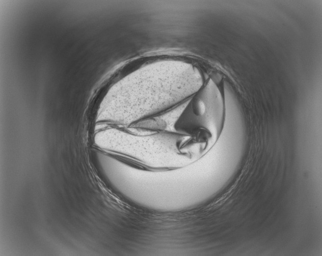 X0000081561406200702121344