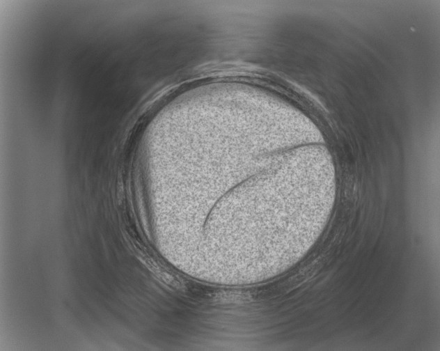 X0000081561407200702121344