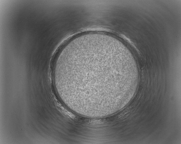 X0000081561408200702121344