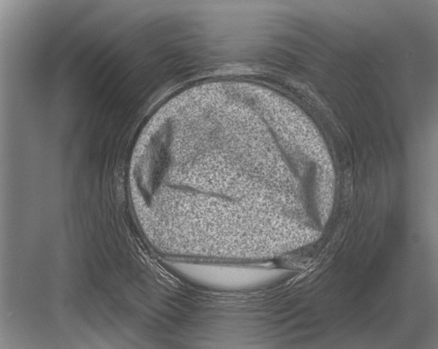 X0000081561409200702121344