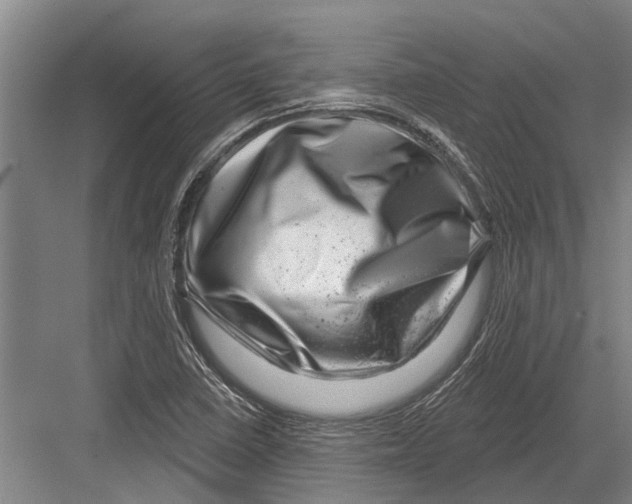 X0000081561410200702121344