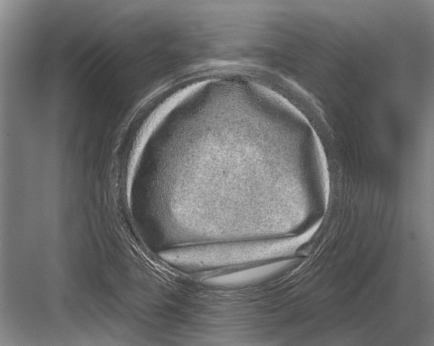 X0000081561411200702121344