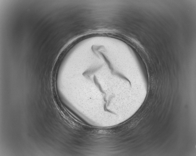 X0000081561412200702121344