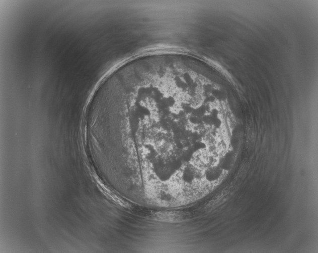 X0000081561413200702121344