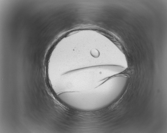 X0000081561414200702121344