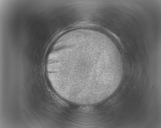 X0000081561415200702121344