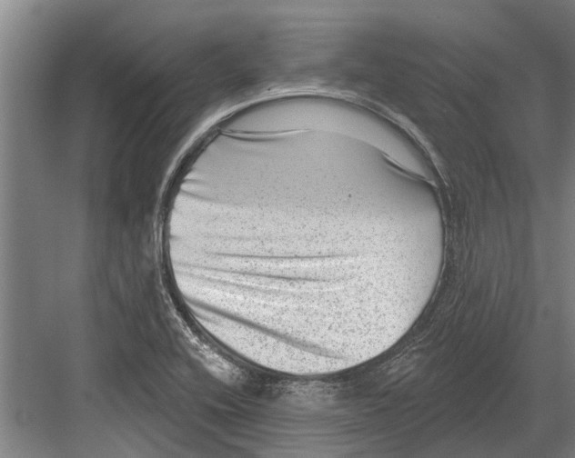 X0000081561416200702121344