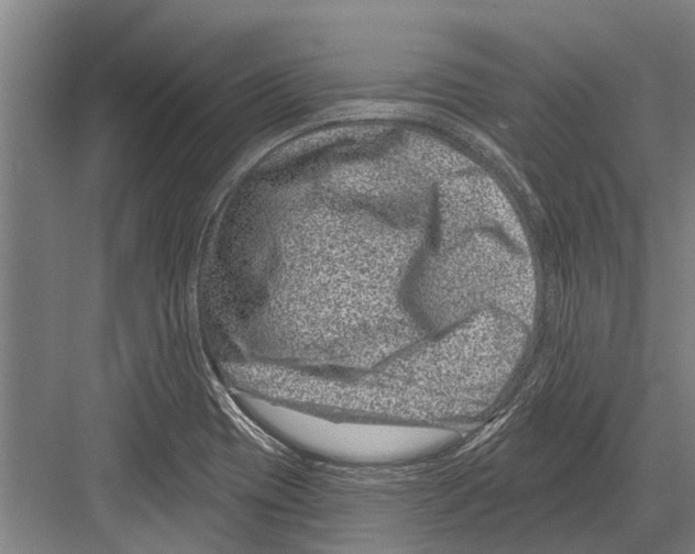 X0000081561417200702121344