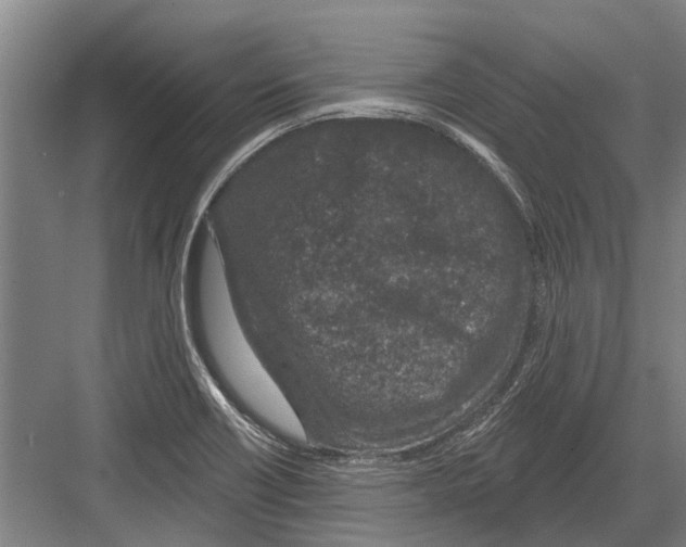 X0000081561418200702121344