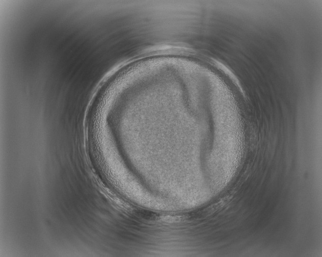 X0000081561419200702121344