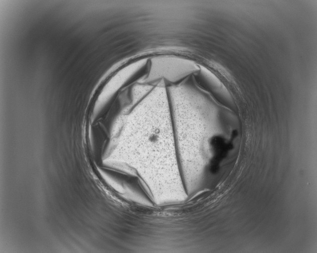 X0000081561420200702121344